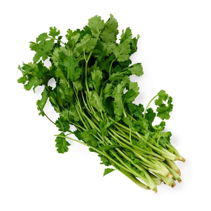 ბარდა