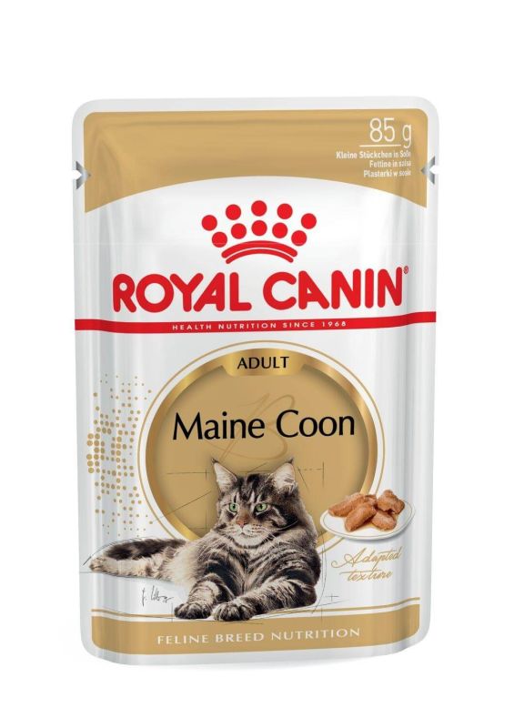 Royal Canin Maine Coon ზრდასრული მშრალი საკვები Maine Coon კატებისთვის