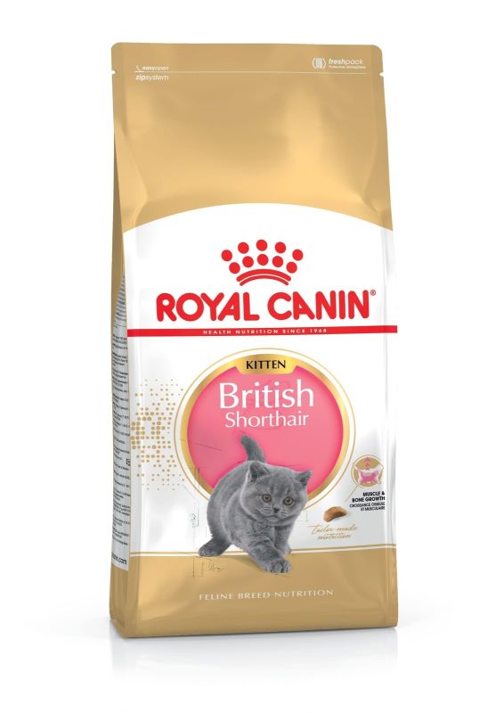 Royal Canin British Shorthair Kitten მშრალი საკვები British Shorthair კნუტებისთვის